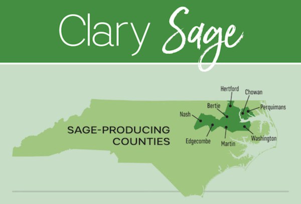 clary-sage-graphic-500.jpg